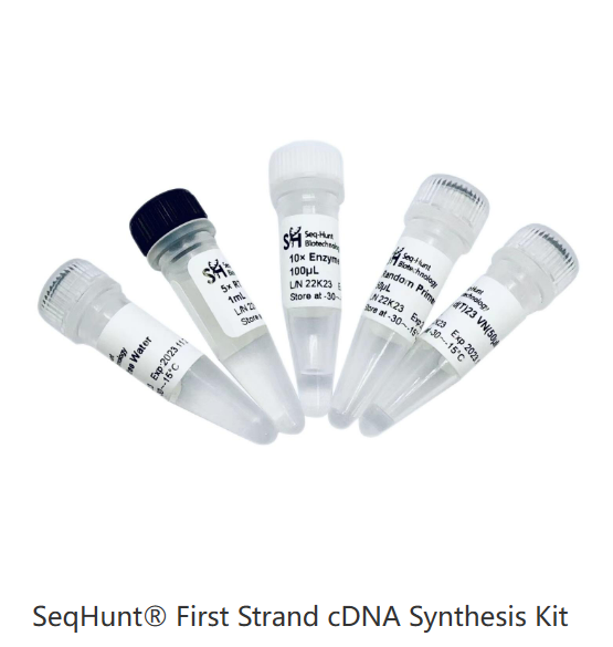 First Strand cDNA Synthesis Kit.png